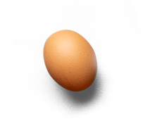 1 Plantilla Banner Inicio EGGS 1
