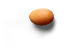 1 Plantilla Banner Inicio EGGS 2