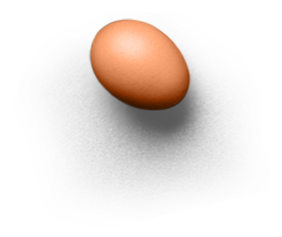 1 Plantilla Banner Inicio EGGS 3